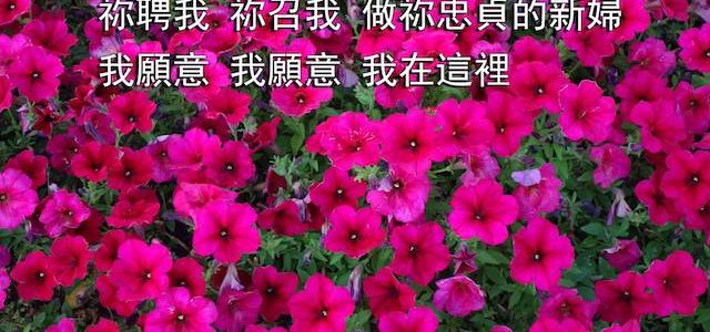 讚美詩歌-那一天