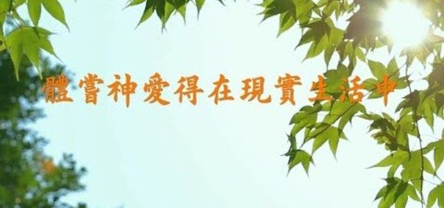 【讚美詩歌】—《體嘗神愛得在現實生活中》