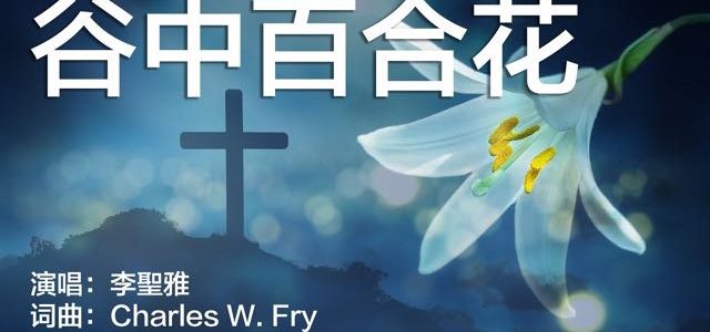 【讚美詩歌】谷中百合花